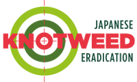 Japanese knotweed eradication ltd
