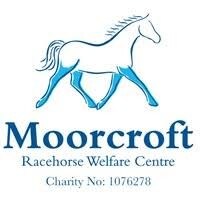 Moorcroft racehorse welfare centre