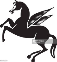 Pegasus retail finance