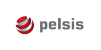 Pelsis career consultants