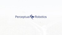 Perceptual robotics