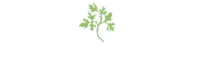 Abbey ravenscroft park nursing home