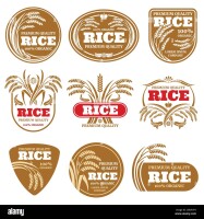 Rice 2 limited