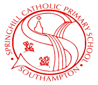 Springhill catholic primary school