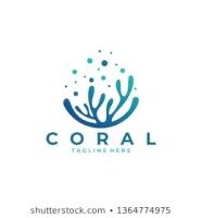 C.O.R.A.L, Aldershot