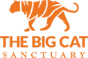 The big cat sanctuary