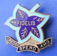 Virgo fidelis convent senior school