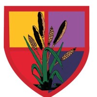 Arundale primary school
