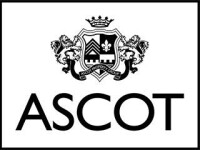 Ascot property group