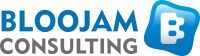 Bloojam consulting ltd