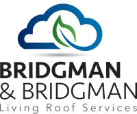 Bridgman & bridgman llp