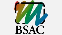 British screen advisory council