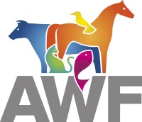 Animal welfare foundation