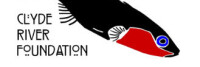 The clyde river foundation