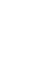 Dumfries & galloway arts association