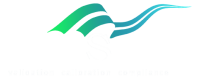 Ems particle solutions