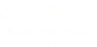 Endell equine hospital