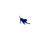 Happy hounds (professional dog care)