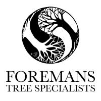 Horsham tree specialists