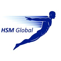 Hsm global ltd - aviation logistics