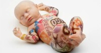 Babies in waiting ltd
