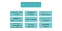 International association for premenstrual disorders (formerly gia allemand foundation)