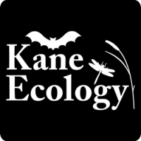 Kane ecology