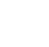 The levell partnership ltd