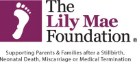 The lily mae foundation