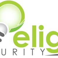 Limelight security & services