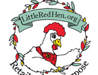Little red hen day nurseries ltd