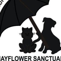 Mayflower sanctuary limited