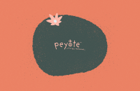 Peyote restaurants