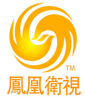 Phoenix television limited