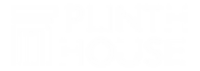 Plinth house