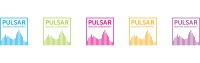 Pulsar building consultancy