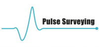 Pulse surveying limited