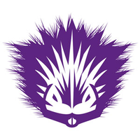 Purple porcupine design ltd