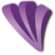 Purple triangle ltd