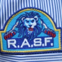 Rapid action security