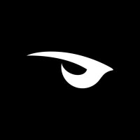 Raven.gg