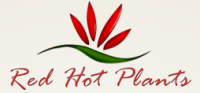 Red hot plants