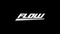 Flow automotive companies