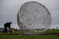 Rob mulholland public art