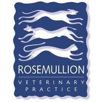Rosemullion veterinary practice limited