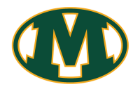 Medina city school district
