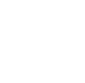 Solidnature