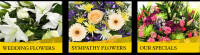 St leonard's flowers