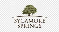 Sycamore