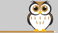 System wise limited